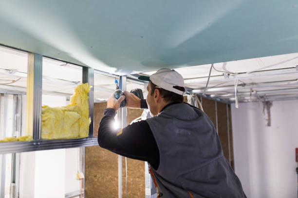 Best Insulation Maintenance and Repair in Nokomis, FL